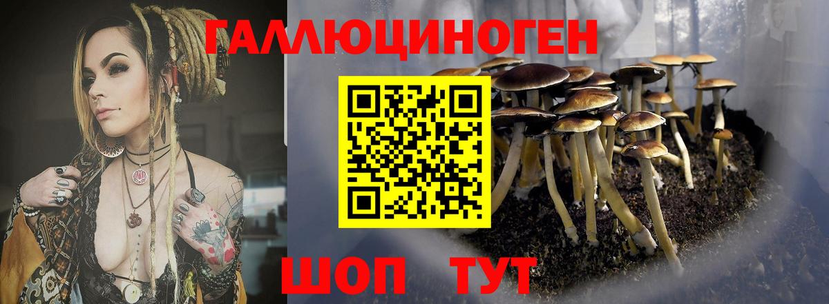 Галлюциногенные грибы Psilocybe  Вход с VPN  Нововоронеж 
